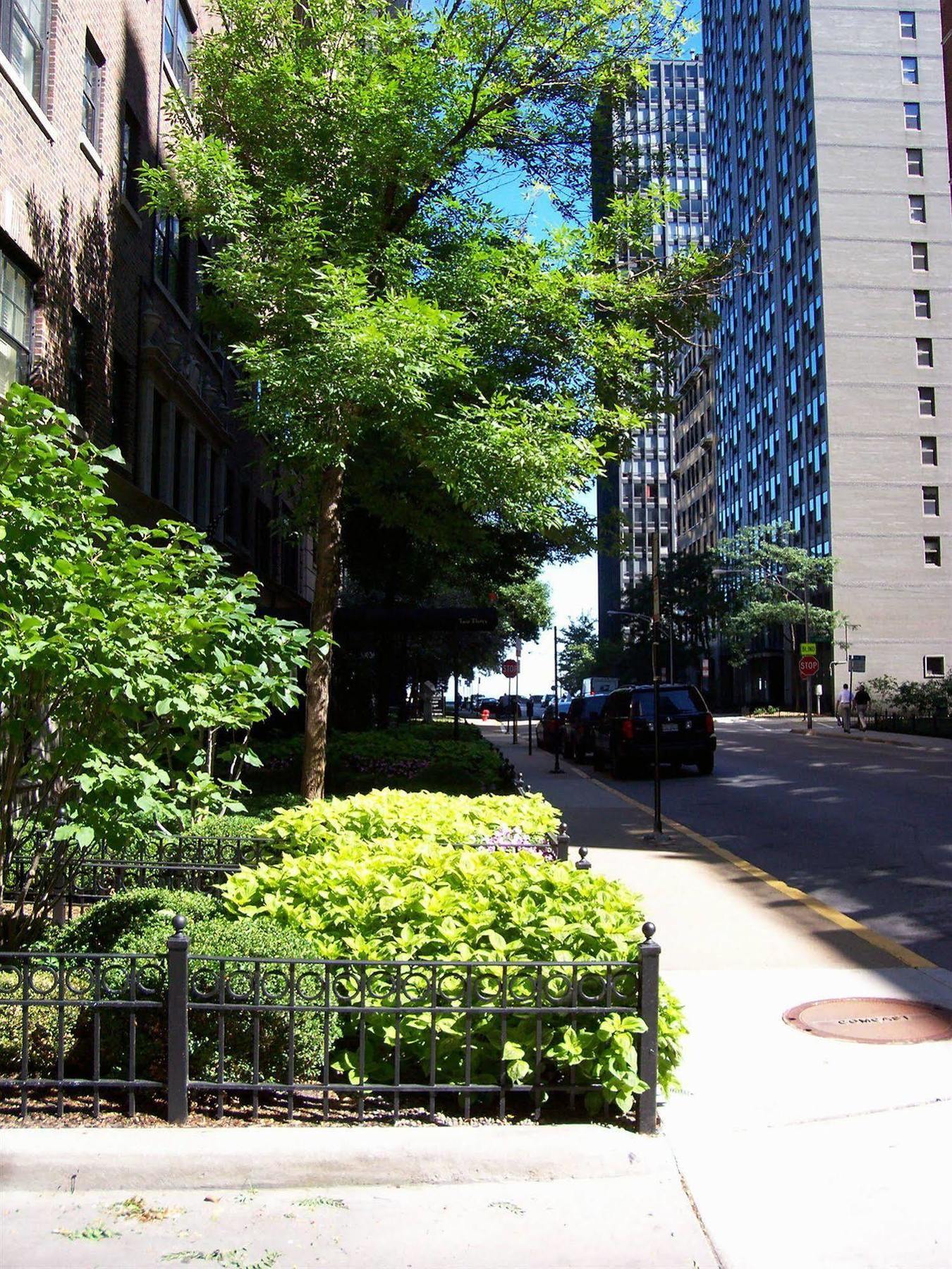 Dewitt Hotel And Suites شيكاغو المظهر الخارجي الصورة
